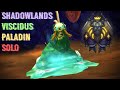 Shadowlands - Viscidus Paladin Solo