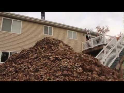 Worlds Biggest Pile Of Leaves