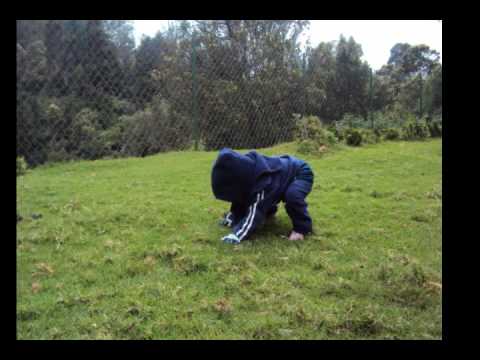 va va endevathaye-shimoana