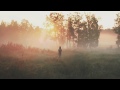 Woods