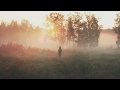 Woods