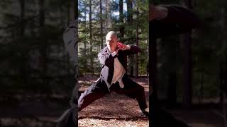 Chen Style Tai Chi 18 Movements
