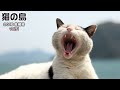 猫の島 2016 春 佐柳島 vol.1