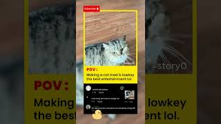 Bro, Teasing A Cat Is Fun Af Fr.