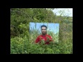 Download sanu tere naal ho gaya pyar-RAKESH TANWAR.wmv MP3 song and Music Video