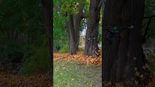 Drone Leaf Blower