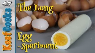 The Long Egg-speriment | Long Egg Series