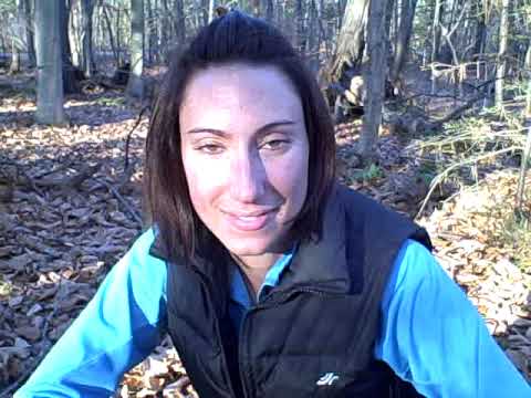 Basha: Survival skills back country camping stealth camping