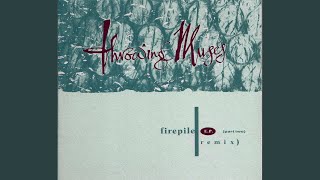 Watch Throwing Muses Handsome Woman video