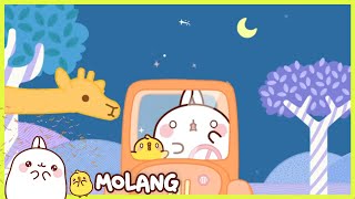 Molang - Safari | Full Molang episodes - Cartoon for kids