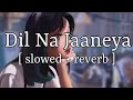 Dil Na Jaaneya [ slowed + reverb ] || Arjit Singh || Lofi Audio