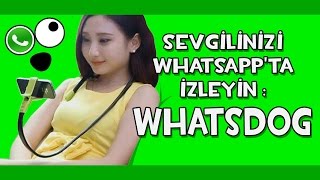 Sevgilinizi Whatsapp'ta İzleyin: WhatsDog