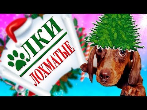 Конкурсы на Новый год 2018 - веселые и прикольные Конкурсы на Новый год 2018 - веселые и прикольные