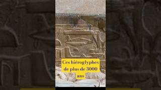 Le Temple Dabydos Montre-T-Il Un Hélicoptère ?