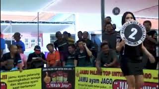 Kontes Ayam Laga Ppakn
