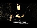 Schwarz Stein - Profane gene