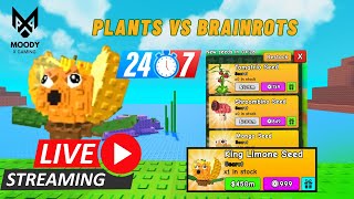 Plants Vs Brainrots Live Stock Check Seeds, Gear In Roblox