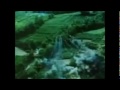Doleful Lions- Funeral Skies For Burst Patriot