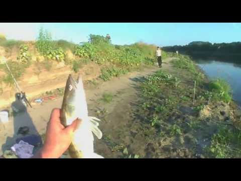 рыбалка на реке дон рыбалка на реке дон