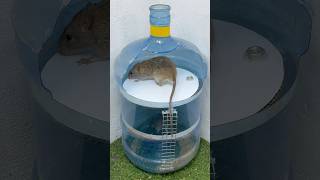 Homemade Trapworlds Best Mouse Trap With Plastic Jar