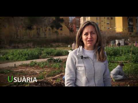Hortes socials Manises. Ajuntament de Manises