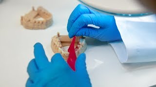 Form 3B For Dental Labs