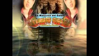 Sonido Stereosalsa Bia Sin Calzones