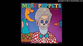 Watch Meat Puppets Time And Money video