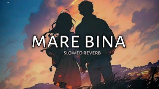 Slowed Reverb Lofi Sohan Bhai Maahi Dawar New Adiwasi Song