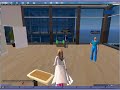 Life Simulation