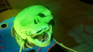 Shed 17 Thomas Death Spooky Scary Skeleton
