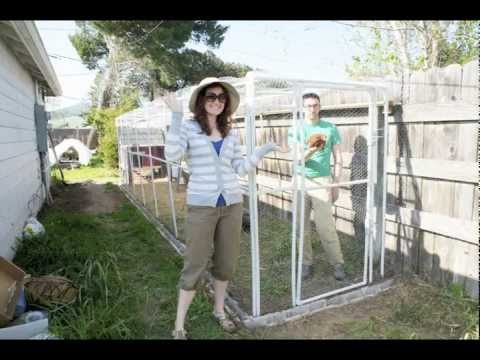 Building our PVC chicken run: time lapse - YouTube