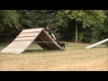 Lady (Labrador Retriever) Puppy Camp Dog Training Video