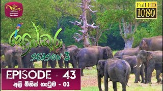 Sobadhara | 2020-01-24 | Elephant-Human Conflict