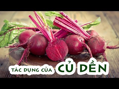 15 công dụng tốt cho sức khỏe ít biết của củ dền