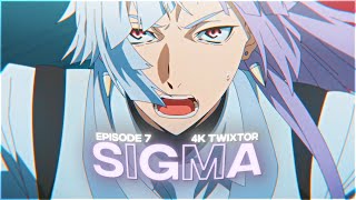 Sigma 4K Twixtor E7