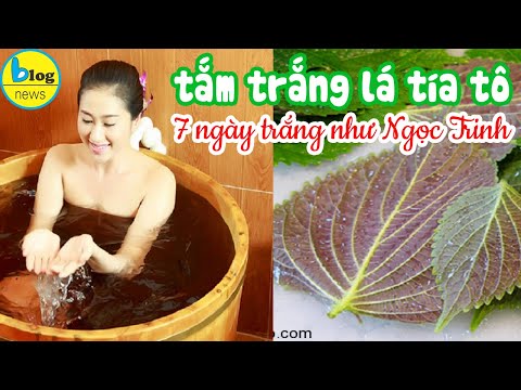 Bí quyết tắm trắng siêu tốc tại nhà từ lá TÍA TÔ Không cần đi Spa vẫn có làn da trắng