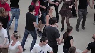 4-Tý Sk Salsa Rueda Flashmob Bratislava Polus 2017