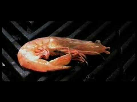The Angry Prawn