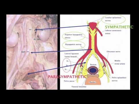 Tme Surgery