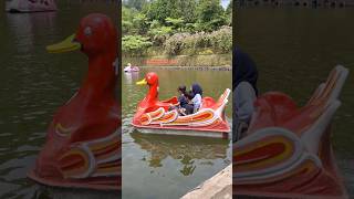 Sepeda Air Bebek Merah