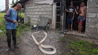 Cobra Sa Natividad, Nueva Ecija Jtg Kamandag