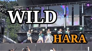 New Songhara Kara - Wild
