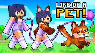 Having A Pet Life In Minecraft