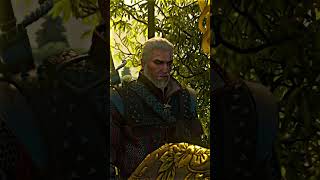 Geralt Enjoying The View In The Witcher 3
