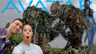 Hunting Down Avatars And Drinking Around The World Nye 2022