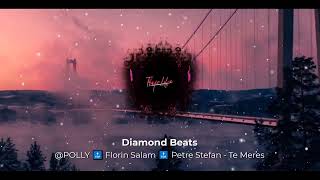 Polly-Petre Stefan-Florin Salam Te Meres Speed Up Song