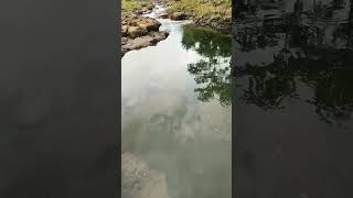 Menelusuri Jejak Sibigau