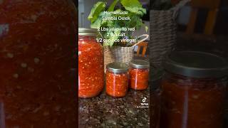 Homemade Sambal Oelek