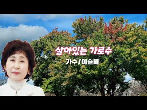 살아있는 가로수/노래 이슬비/원곡/이미자 살아있는 가로수/노래 이슬비/원곡/이미자